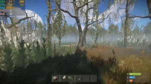 Rust | i5-2500K | RX 550 2GB | 12 GB RAM | Low settings