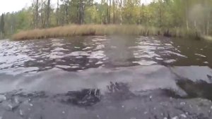 Щука лодку утопила...