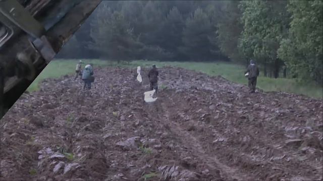 Сеим кормовые поля овсом 29 05 21г смотреть онлайн