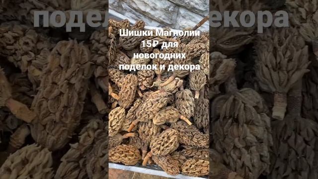 Поделки из шишек Шишки в наличии отправка по России 8-918-105-60-69 смотреть онлайн