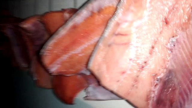 Холодное Копчение Красной рыбы кеты в домашних условиях. Копченая рыба.