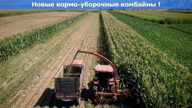 Силосный кормоуборочный комбайн ABOLLO TY-MC2