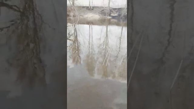 Рыбалка руками на реке Оша?29.04.21 г.