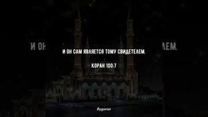 Красивое чение Корана Чтец :Мяхди Аш-шишани