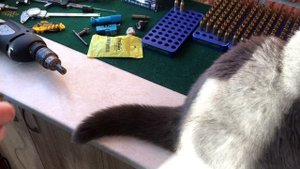 #8 Чистка капсульного гнезда