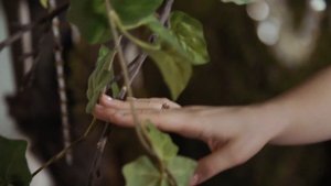 Зухра Валиуллина - "Бодрэ таллар"