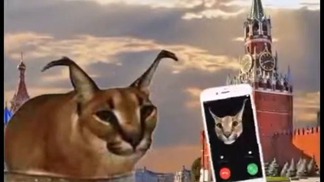 шлёпа в тазике смотреть онлайн