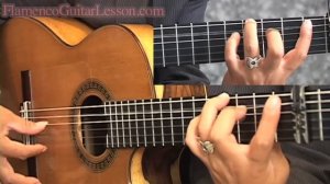 Bulerias sample lesson Advanced Level by Jose Tanaka  Flamenco Guitar Lesson「フラメンコギターレッスン」