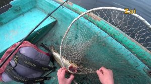 ЩУКА В МАРТЕ. Первая щука на даче.