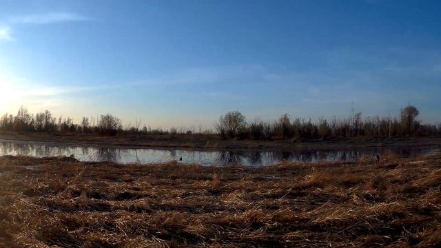 Открытие весенней охоты (шестой день) смотреть онлайн