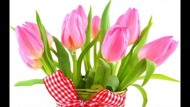 ?Самое красивое поздравление 8 Марта! Международный женский день. #весна #8марта #женскийдень  1310