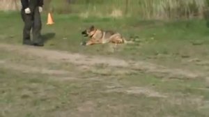 Урания охрана вещи ЗКС.mp4