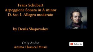 91 - Franz Schubert - Arpeggione Sonata in A minor, D. 821 I. Allegro moderato - by Denis Shapovalo