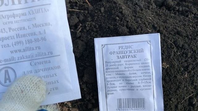 VLOG: ПОСЕВ СЕМЯН В ОТКРЫТЫЙ ГРУНТ/ПОСАДКА ЛУКА/ДАЧА