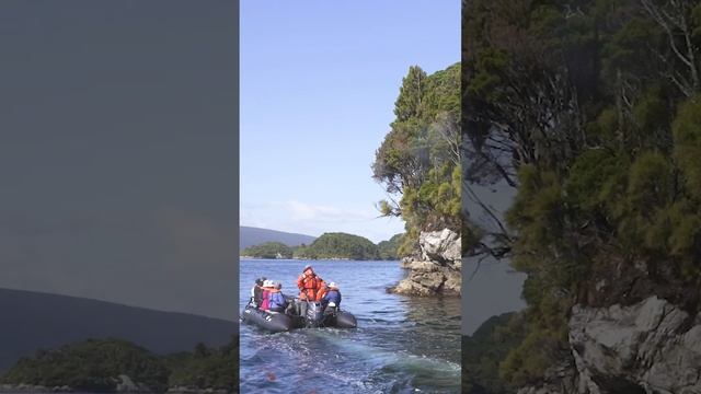 Fiordland National Park | New Zealand | Lindblad Expeditions