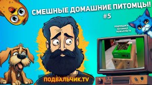 🐱СМЕШНЫЕ ДОМАШНИЕ ПИТОМЦЫ #5!  Подборка топовых видео про животных  2024 год!!!🐱