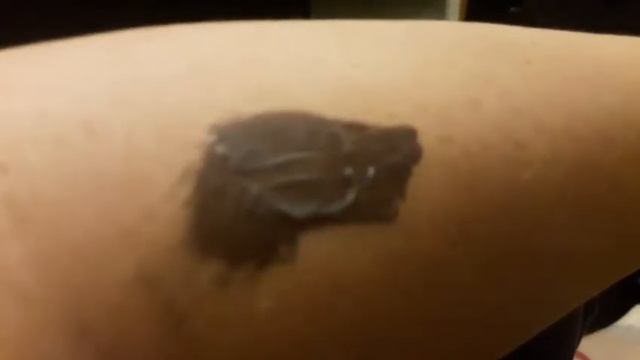 Крашу брови дома сама.Тестирую краску для бровей и ресниц.Удивлена была цветом.Краска белая. смотреть онлайн