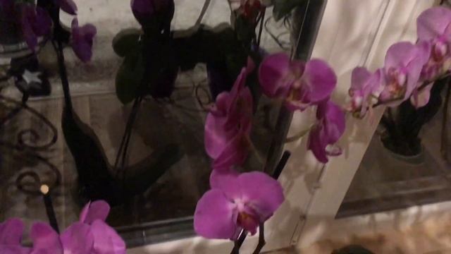 Королевы января смотреть онлайн