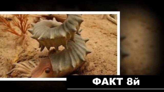 15 интересных фактов. Процесс метаморфозы - это изменение организма при переходе от одной стади....