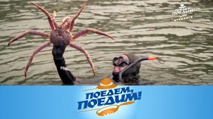 Мурманская область: обед со дна моря, сюрпризы Териберки и блюда из кукумарии | «Поедем, поедим!»