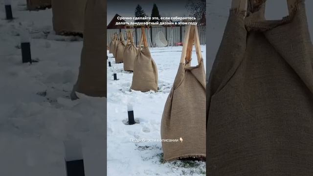 Фото участка и заборов, учёт эксплуатации участка в зимний период #ландшафт #дизайн #нск #новосиб