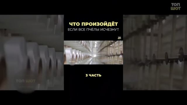 Что будет если исчезнут пчелы 4 часть || Животный мир ❤️ смотреть онлайн