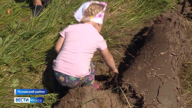 У псковской деревни Русски посадили хвойный лес смотреть онлайн