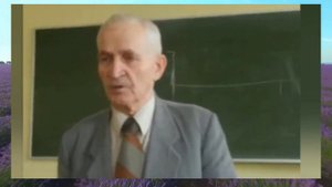 Пчёлы делают мед ценой своей жизни. Кашковский пчеловодство.