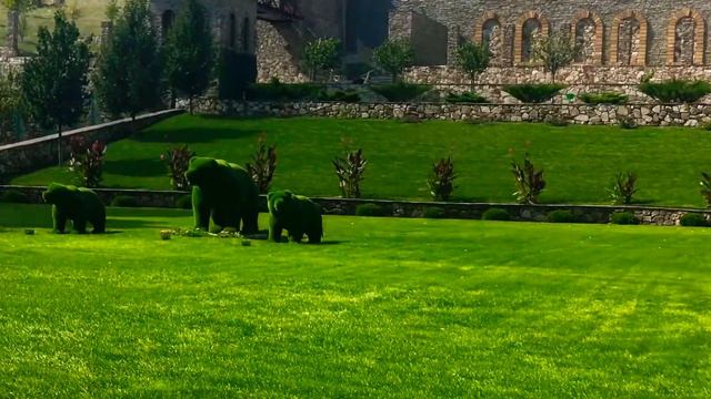 Парк ЛОГА 🍃🌿🌴🌳🍀🌷🌼🌸Красота , не правда ли? Пишите в комментариях. Ставьте лайки ❤️. смотреть онлайн