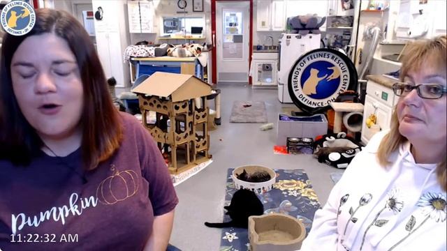 Q&A 11-03-2023 (FFRC) смотреть онлайн