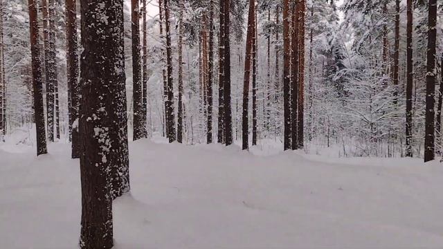 Мотобуксировщик НЕВА МС1-ZS (GB225) Обкатка. смотреть онлайн