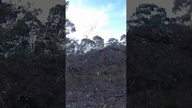 Veteran Patton goes up shit easy смотреть онлайн