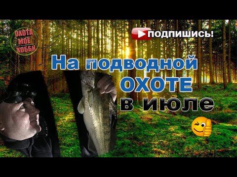 Июльская прогулка под водой. Spearfishing смотреть онлайн