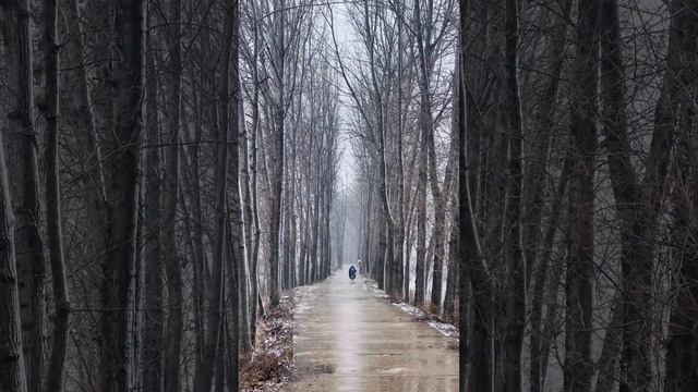 乡村小道上下着小雪，行人骑着摩托回温暖的家！