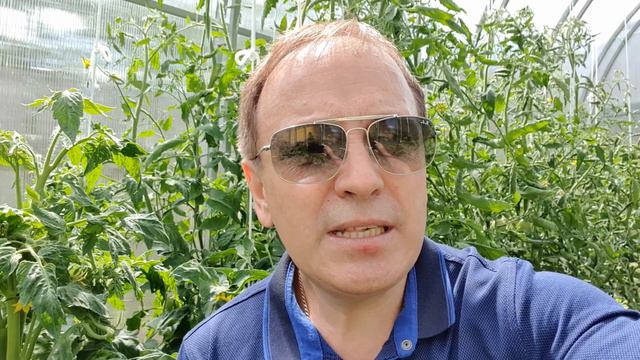 Век живи, век учись смотреть онлайн