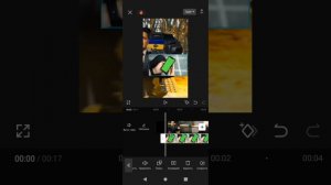 крутой способ как удалить фон чёрный фон зелёный фон в CapCut!? в этом я помогу