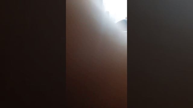 Вечные книги про собак. Есть то что не тленно. Ура нашёл смотреть онлайн