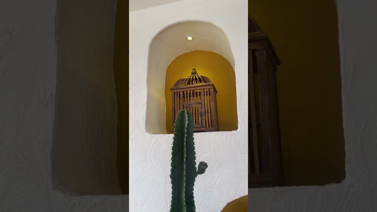 Cafe ️ смотреть онлайн