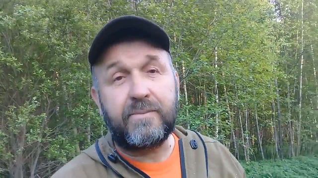 Впился клещ. смотреть онлайн