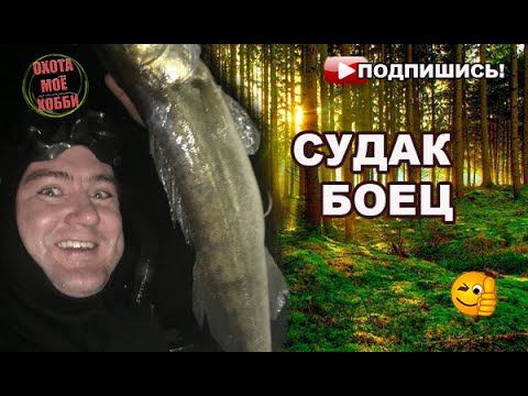 За СУДАКОМ для копчения! Spearfishing смотреть онлайн