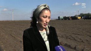 Сельский кластер - Колхоз "Кубань" (10.10.2018)