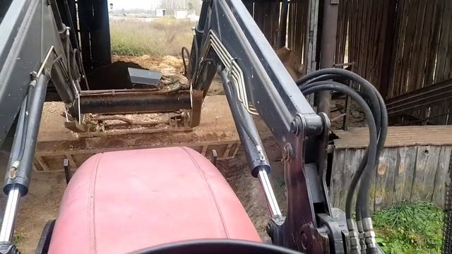 Трудимся в выходные. Быки без воды- не дела ! День работника с/х смотреть онлайн