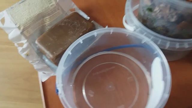 ДЕГТЯРНОЕ МЫЛО, КЛЕЩИ и ОРХИДЕИ смотреть онлайн