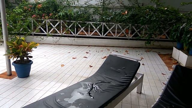 Goa resort great deal cheap hotel booking places to visit in goa смотреть онлайн