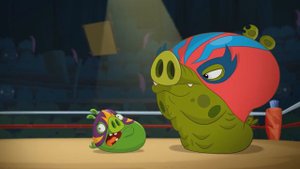 Злые птички - Энгри Бердс - Король ринга (S3E15) || Angry Birds Toons 3 season