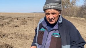Посадка интенсивного сада черешни , груши и персика. Винницкой обл.