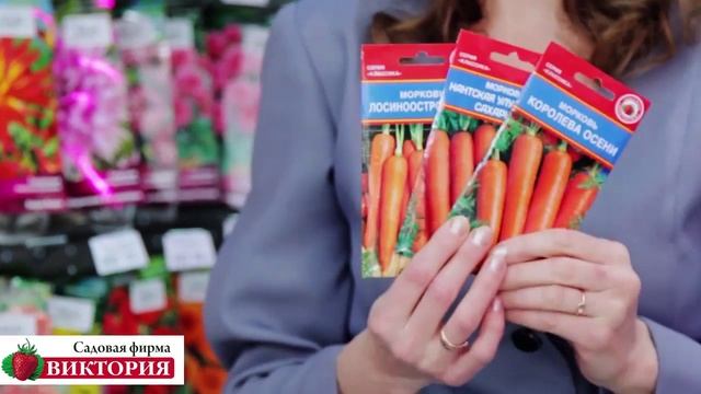 2 Лук севок. Выбираем сорт. Стурон. Сеттон. Шетана. Купидо. смотреть онлайн