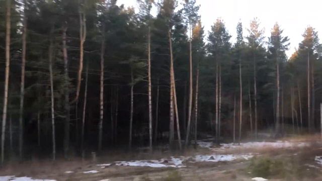 От Штабки до Барнаула на поезде - Карасук-Барнаул. смотреть онлайн