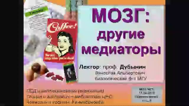 Вячеслав Альбертович Дубынин, биофак МГУ Химия мозга, Лекция № 9