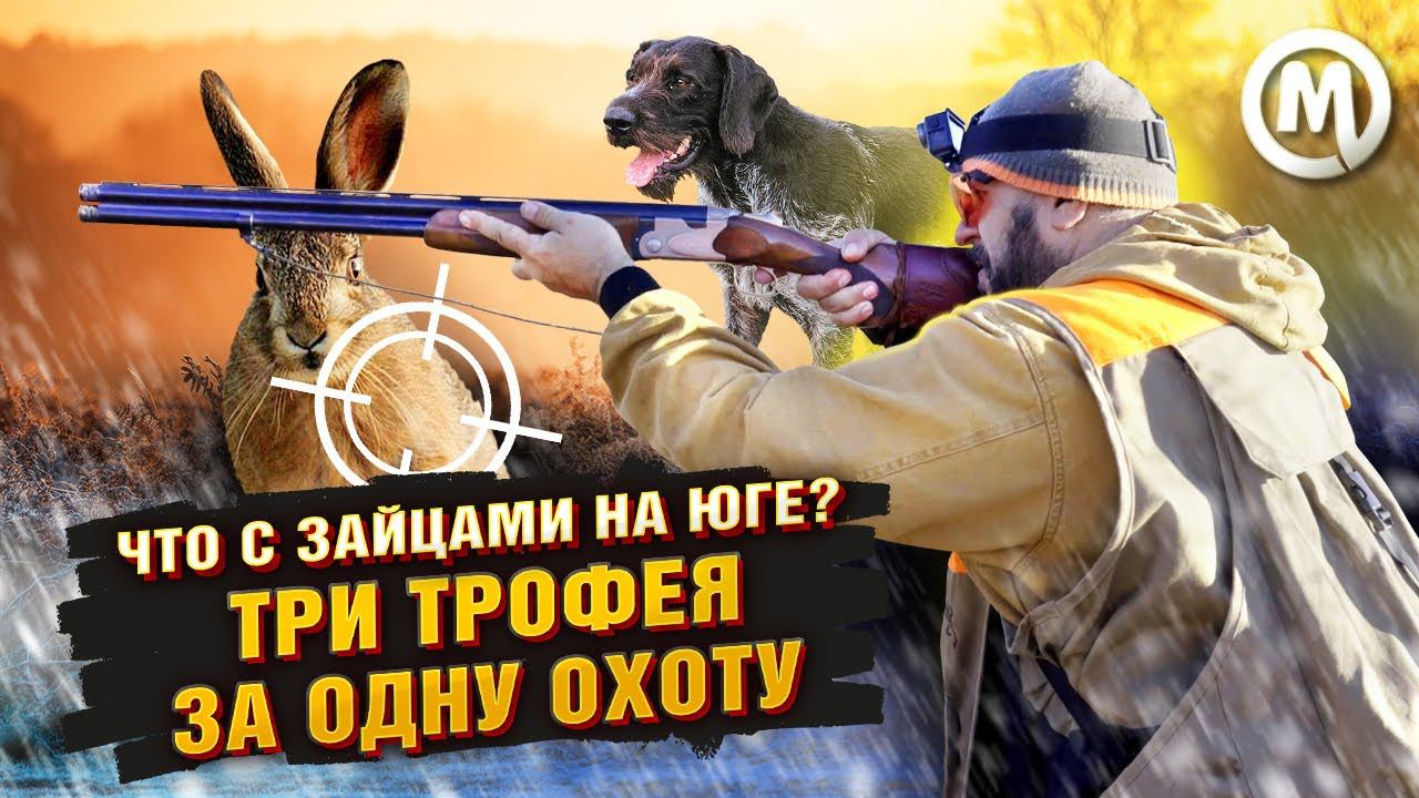 Что с зайцами на юге? Три трофея за одну охоту! смотреть онлайн
